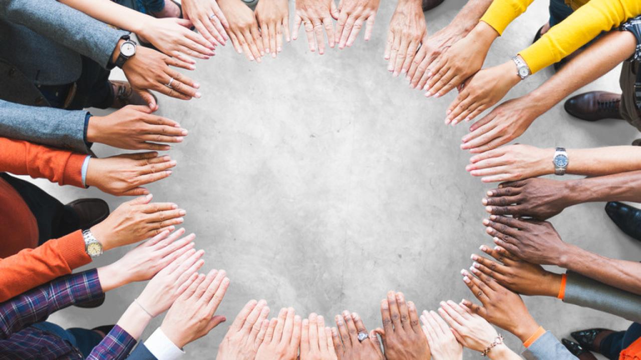 Diversity