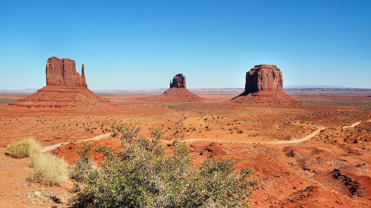 Arizona Desert
