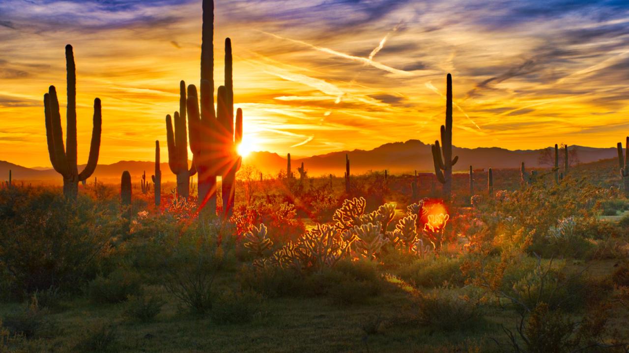 Photo of Sunset on the Arizona Desert