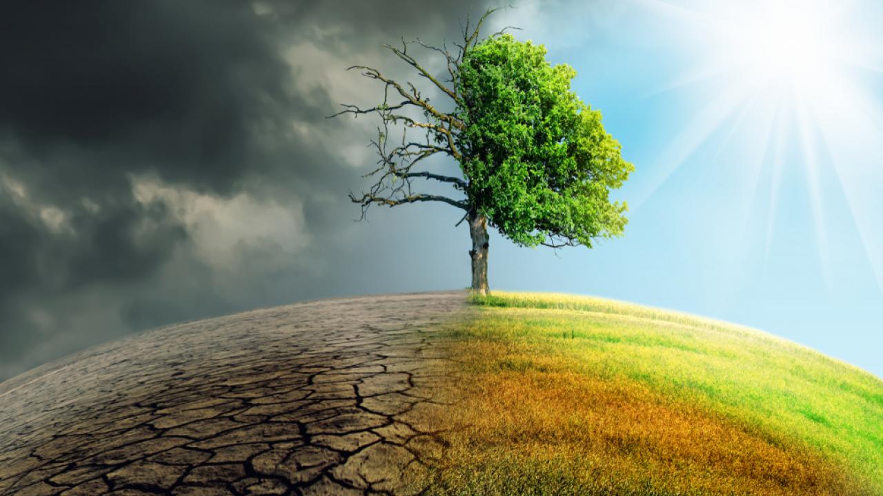 Representation of Climate Change