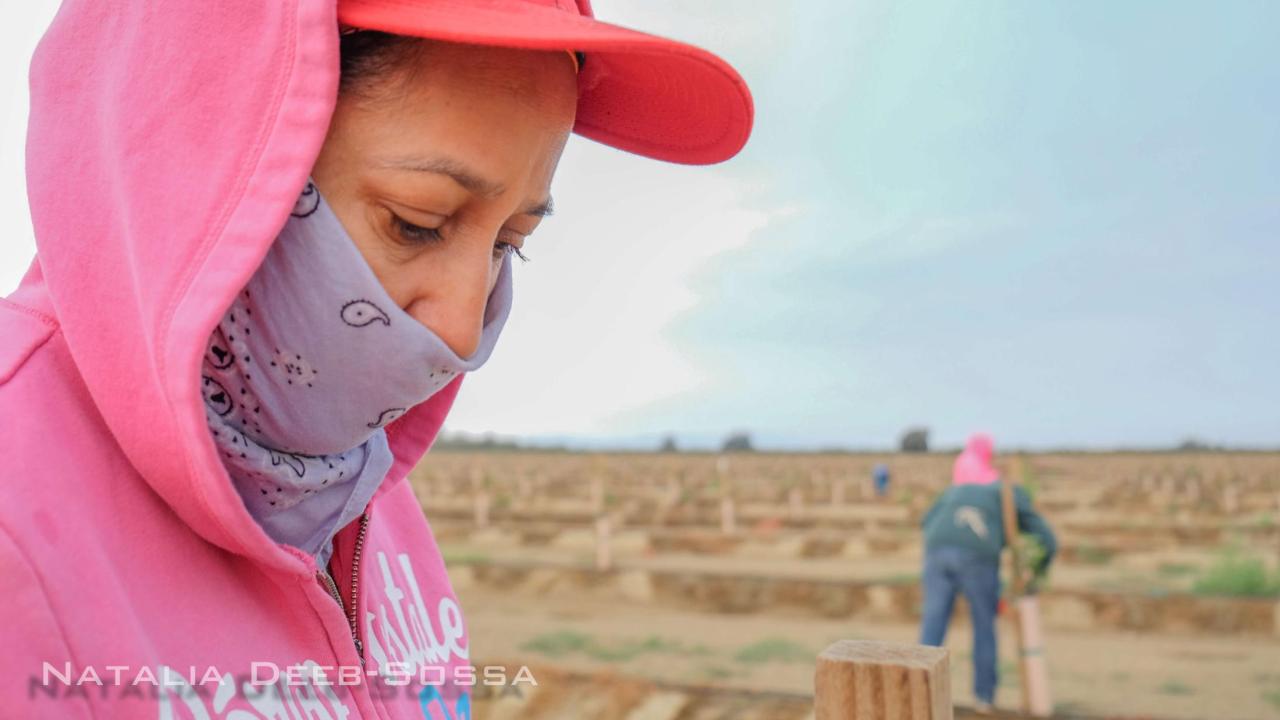 Farmworker