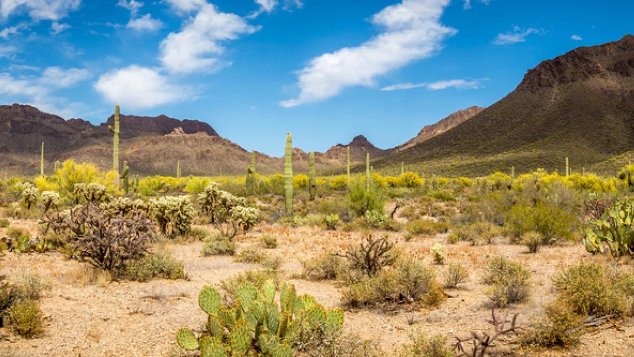 Photo of a desert under the hot sun
