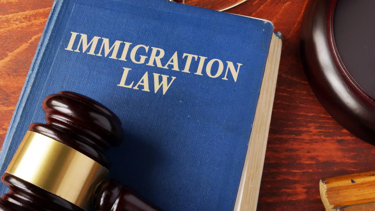 Book titled "Immigration Law"