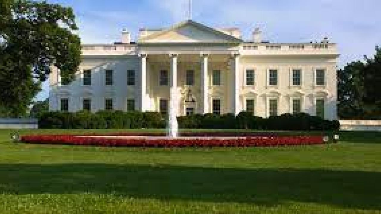 Picture of White House