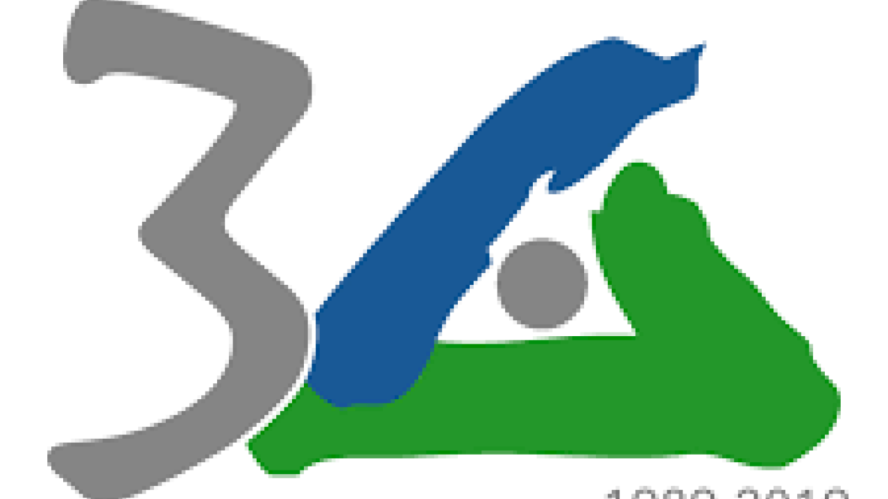 Franciscans International Logo