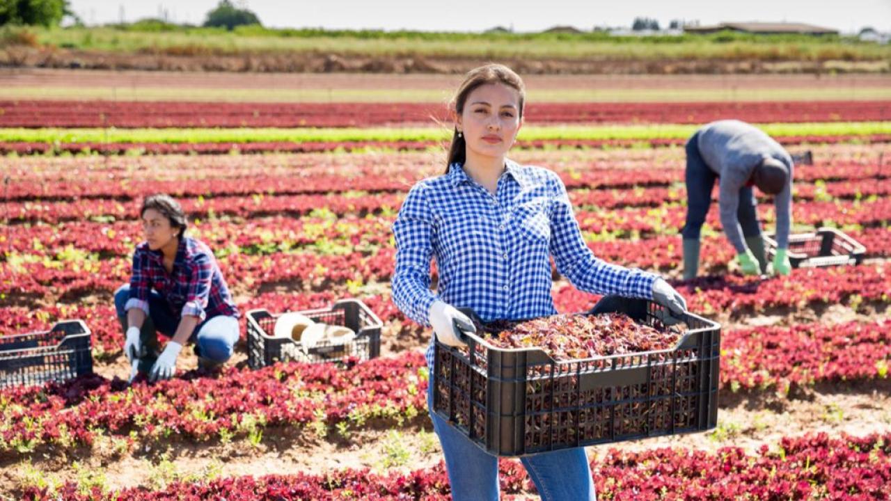 Workers in the Field picture used by Uniontrack