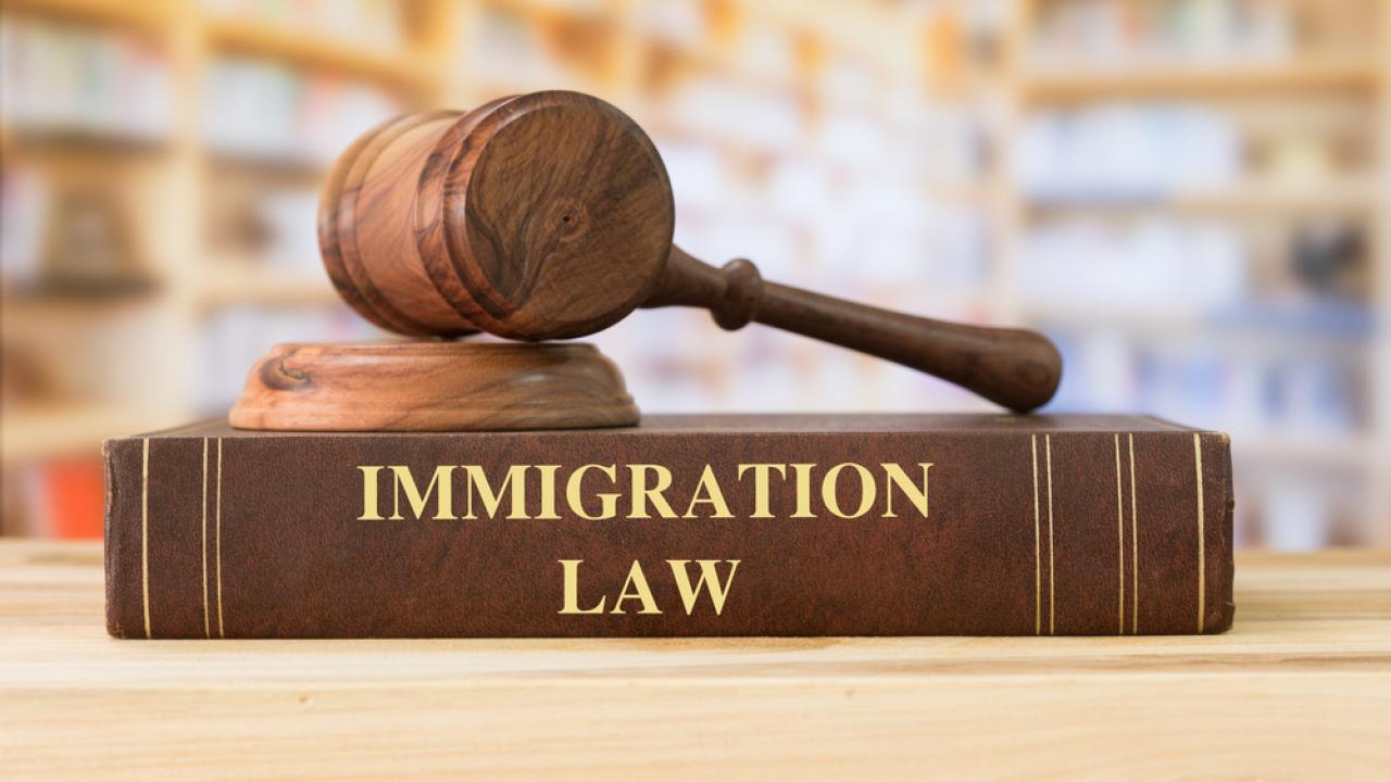 Immigration Law