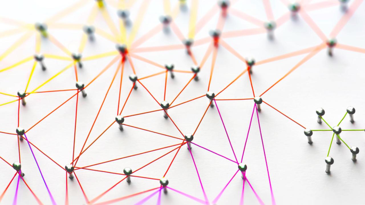 Photo of a Representation of a Network