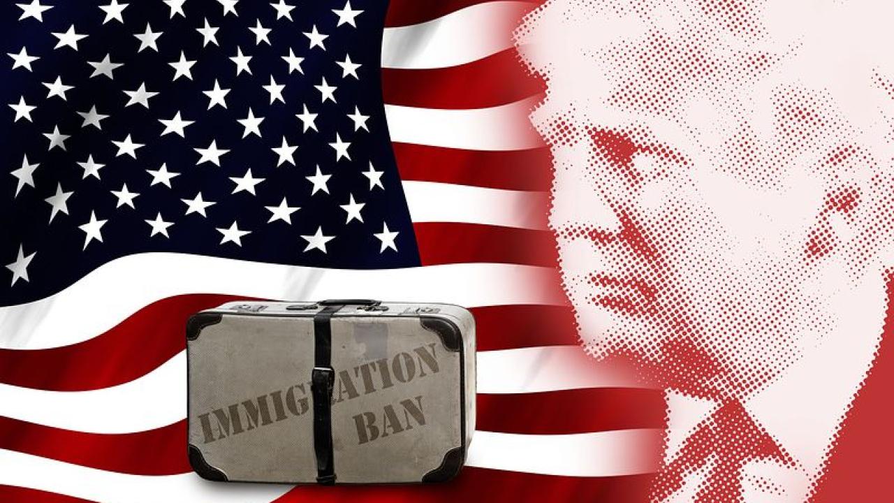 trump, american flag, immigration ban