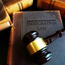 Book titled "Immigration Law" with a judge's gavel. 