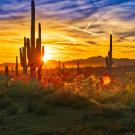 Photo of Sunset on the Arizona Desert