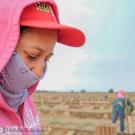 Farmworker