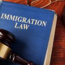 Book titled "Immigration Law"