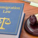 Book on immigration law sitting beside a gavel