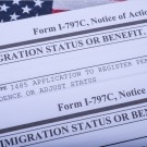 citizenship papers