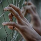 Image of hands on fence