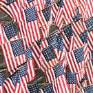 A group of American flags
